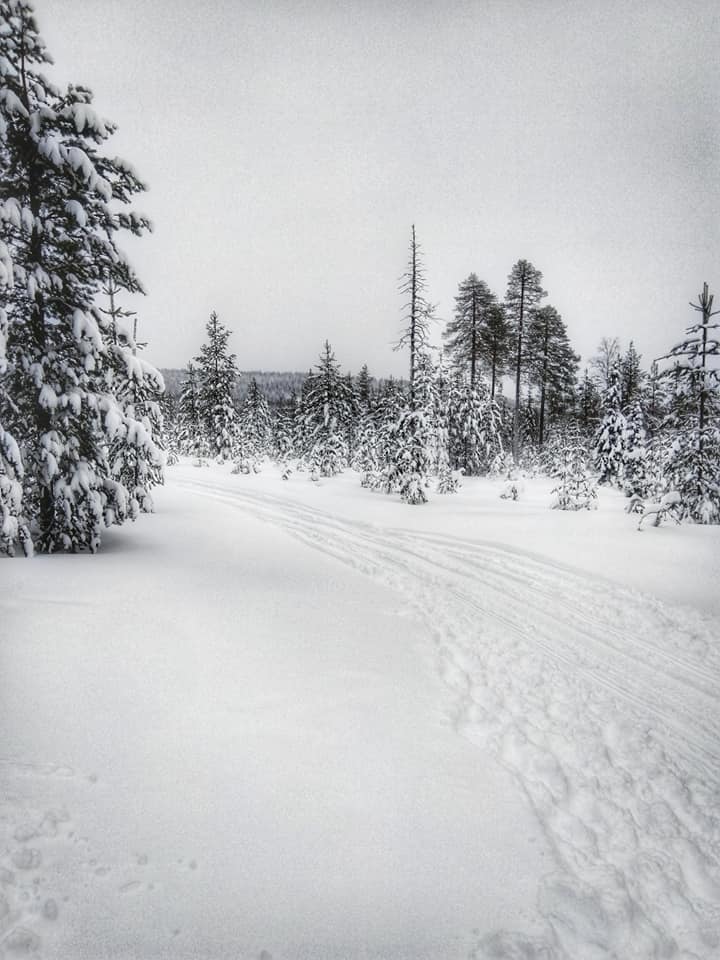Wit landschap Lapland