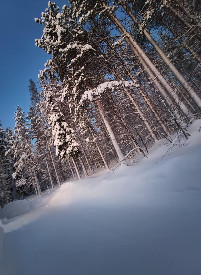 Landschap in Lapland