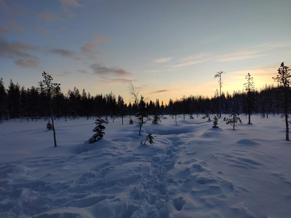 Bevroren moeras in Lapland