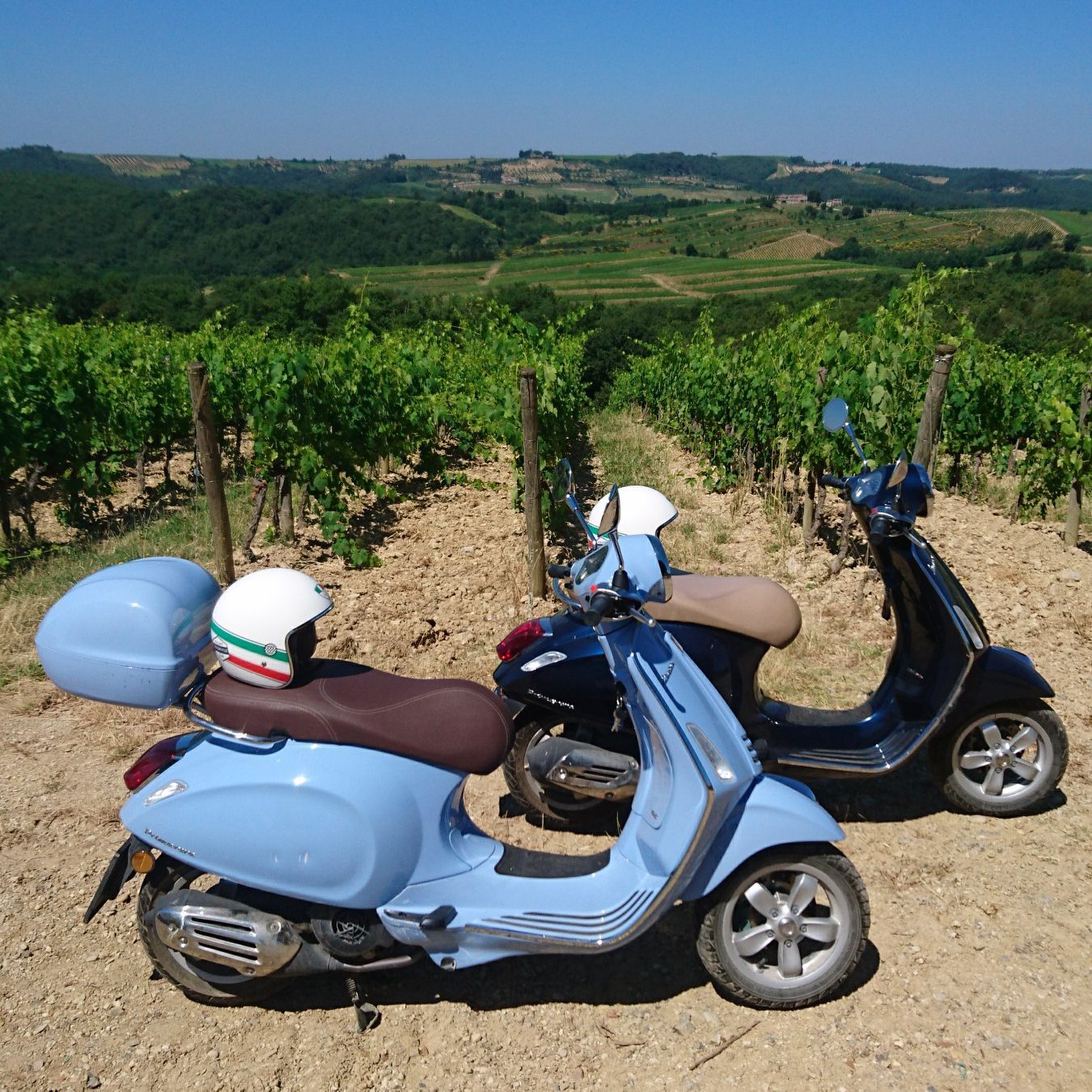 Real freedom in the vineyards in tuscany