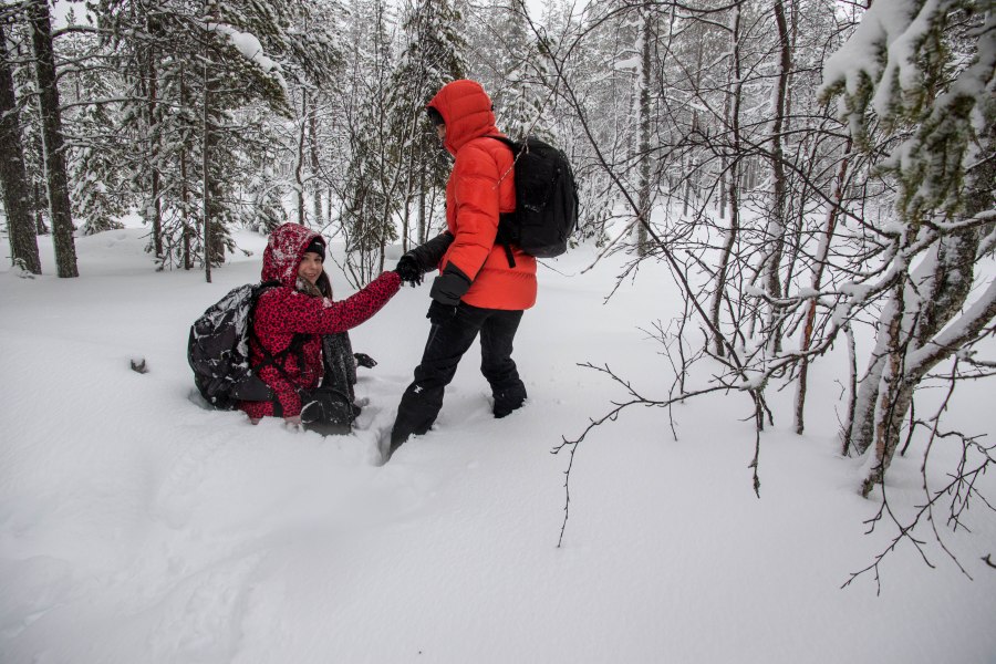 Sneeuwschoen hike Lapland