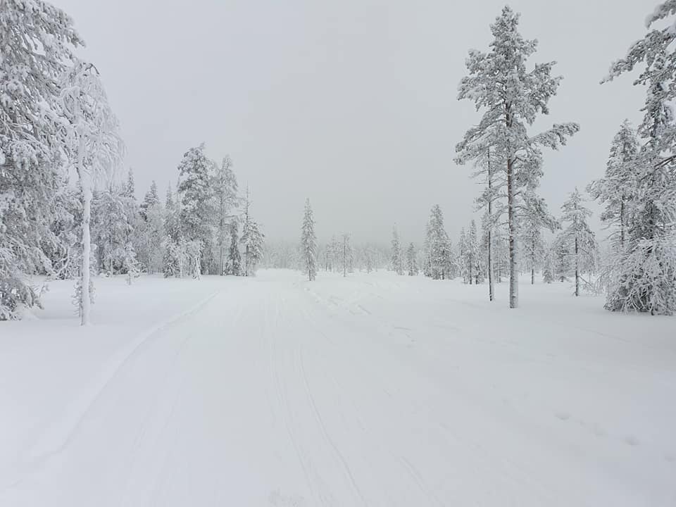 snowy landscape Lapland