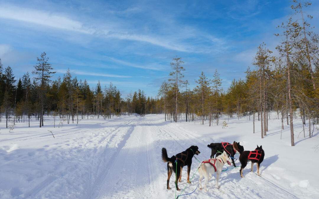 Un séjour en Finlande inoubliable