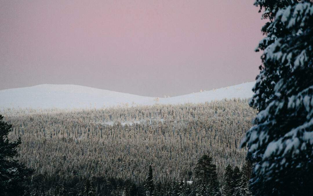 9 raisons de voyager en Laponie cet hiver