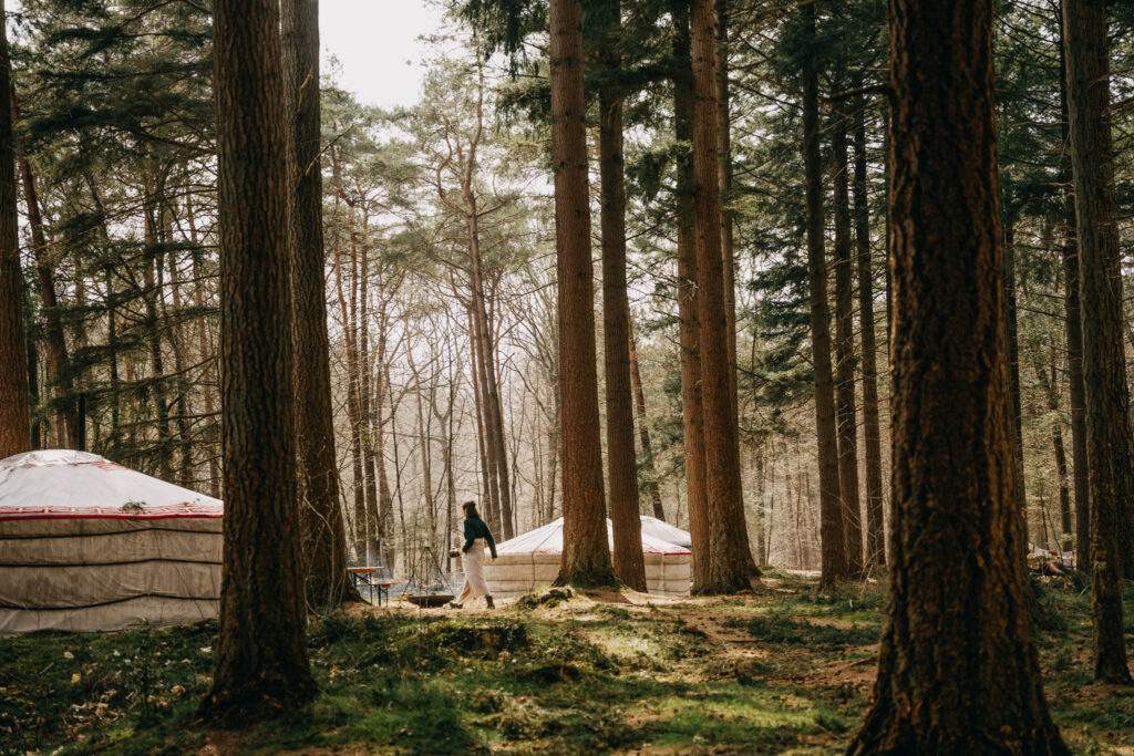 Er even tussenuit in de natuur: 6 x micro-avonturen: Knus kamperen in je eigen yurt  