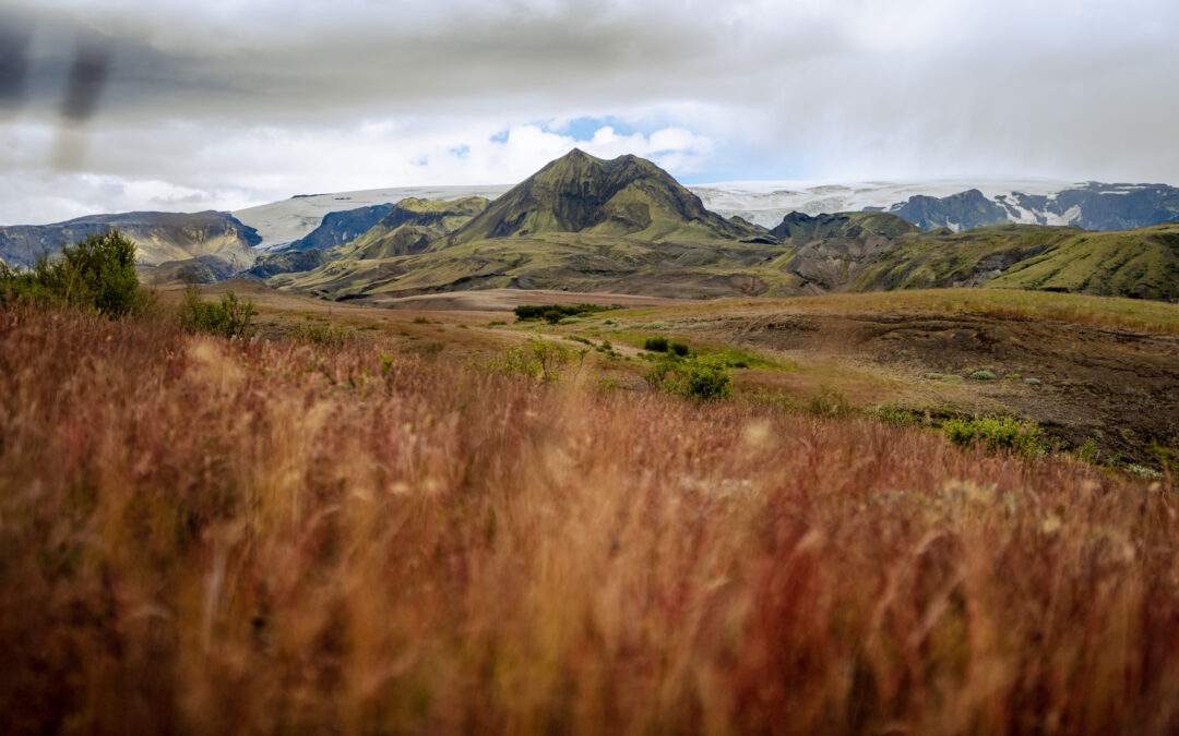 3 manieren om IJsland te verkennen: welk type reiziger ben jij?
