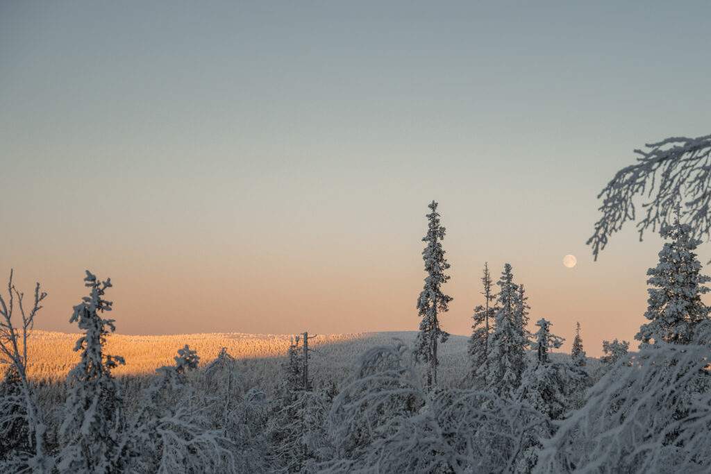 Vacances en Laponie : quelle destination choisir ?