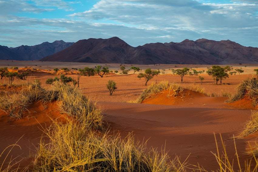 Roadtrip en Namibie : itinéraire et incontournables