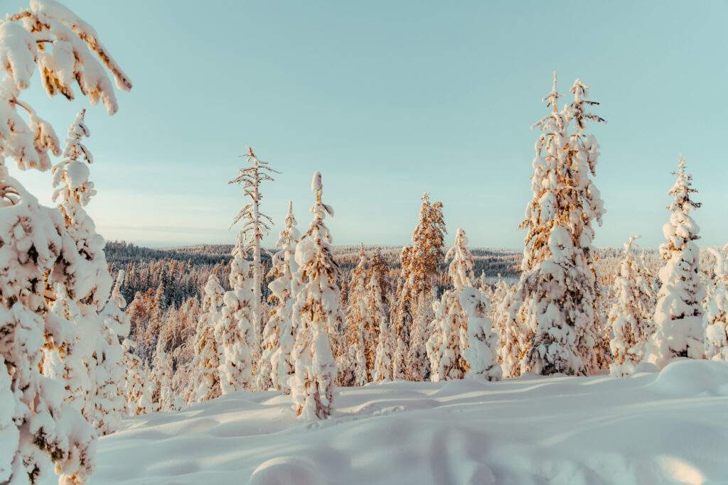 Op avontuur naar Lapland 