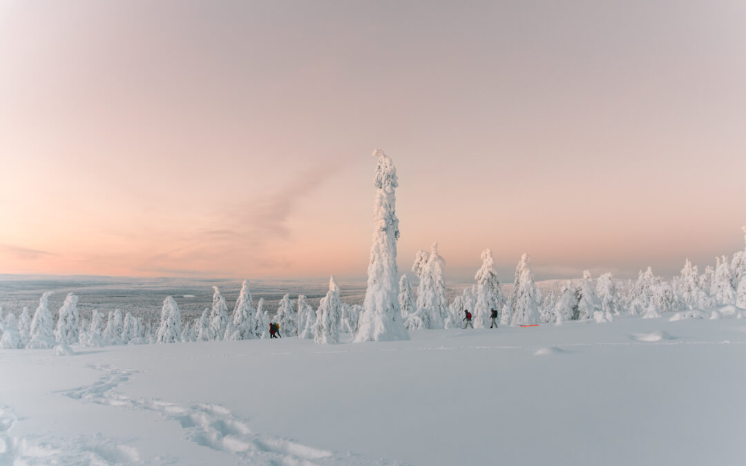 Van Lapland tot IJsland: 4x Noordelijke winterreizen