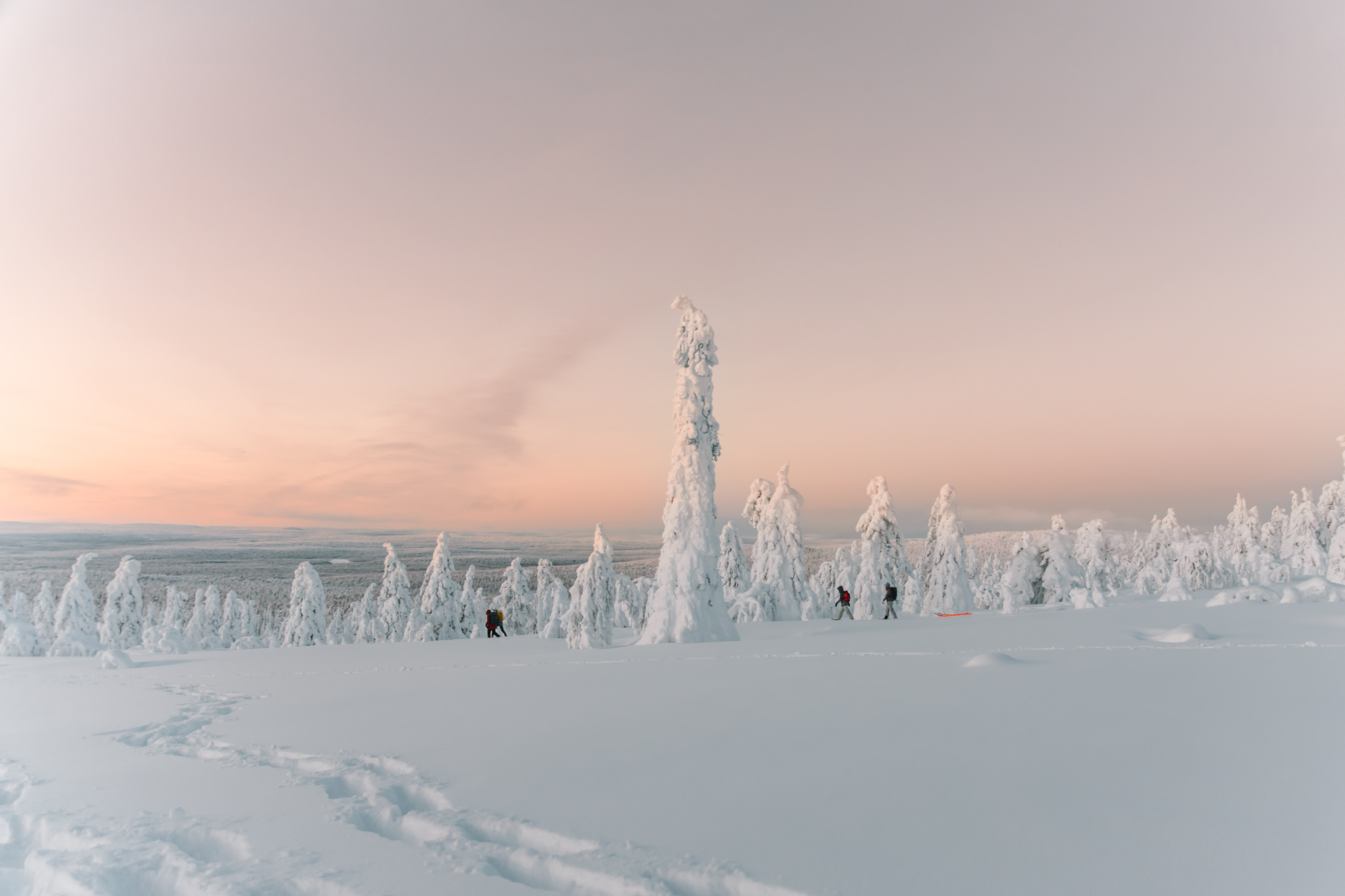 Van Lapland tot IJsland: 4x Noordelijke winterreizen