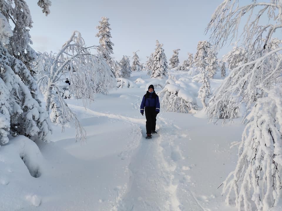 hiking in Lapland