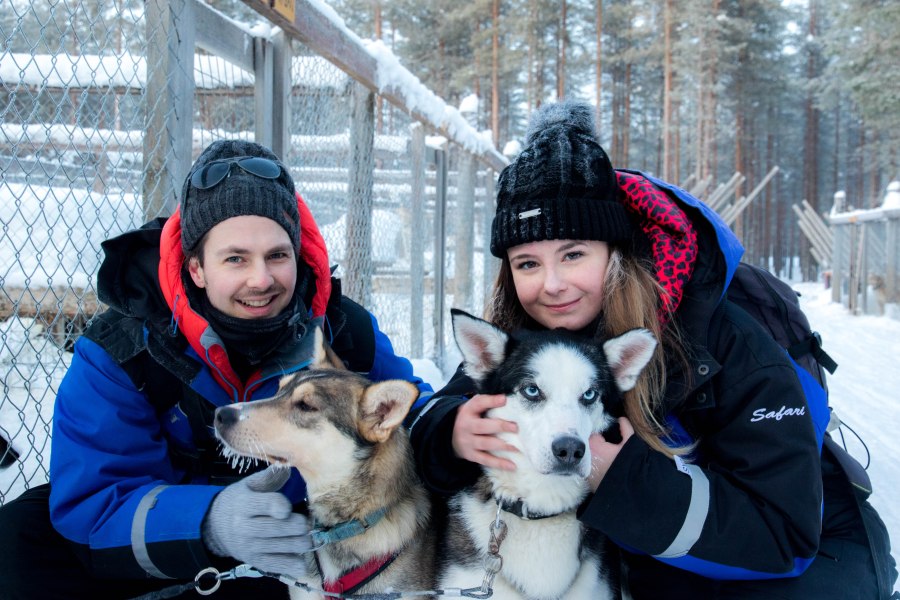 Knuffelen met husky's in Lapland