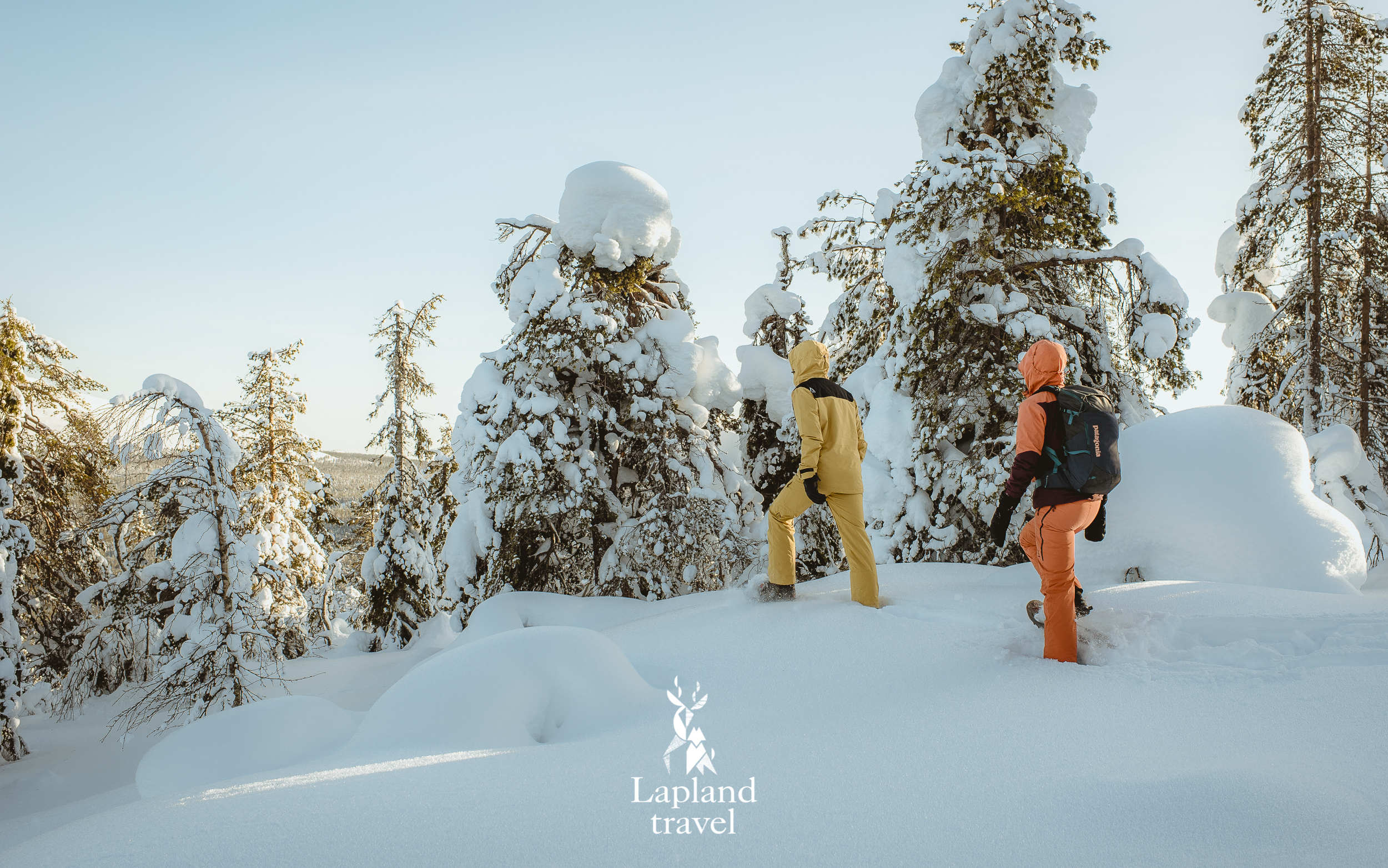 Sneeuwschoen hike in Lapland