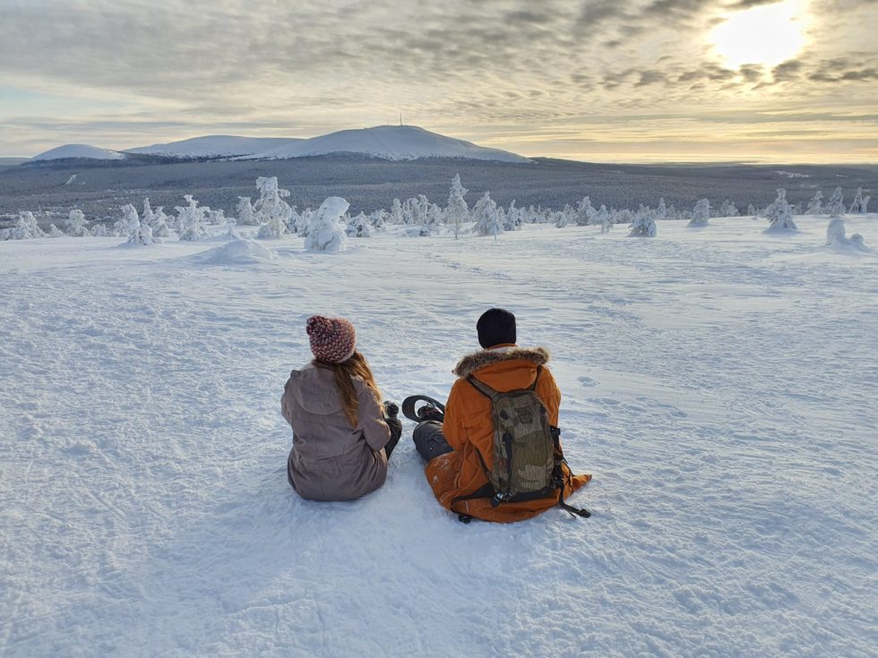 Koppel op heuvel in Lapland