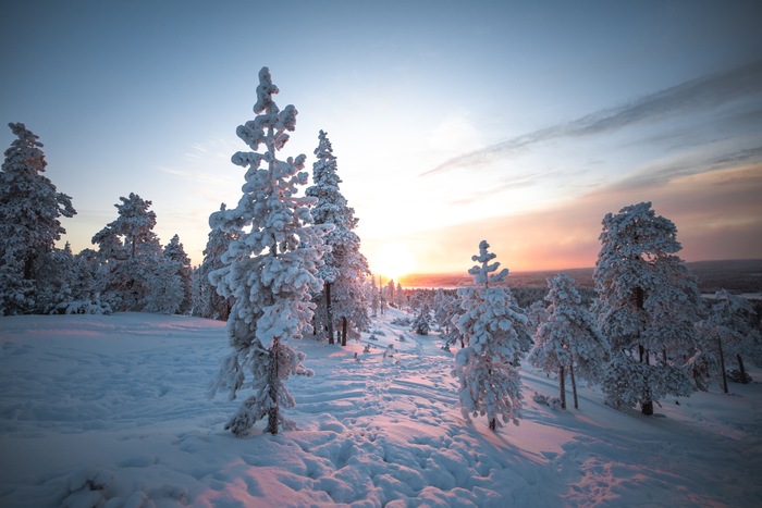 Sneeuwlandschap in Lapland