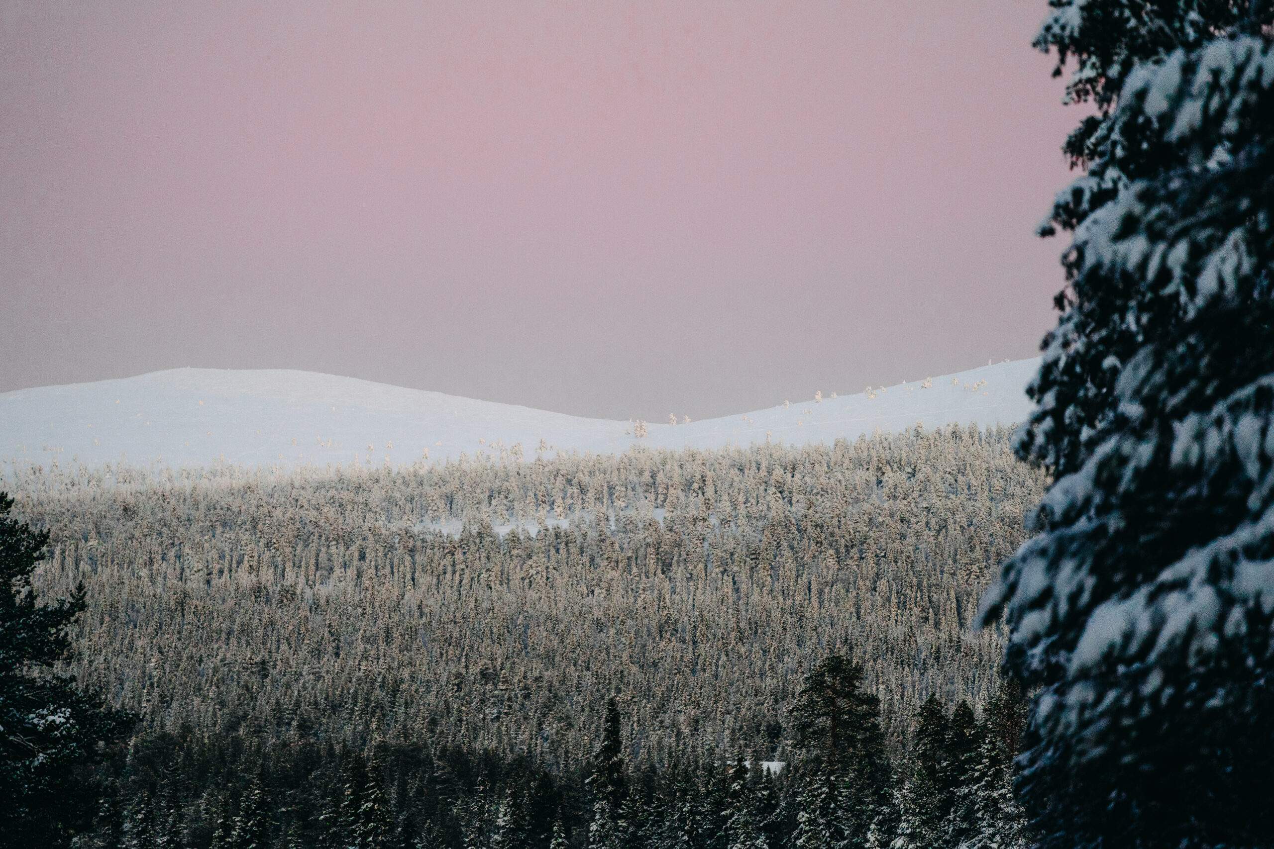9 redenen waarom je naar lapland moet reizen deze winter: Fins Lapland biedt een adembenemend landschap, majestueuze natuur en een immens gevoel van vrijheid.