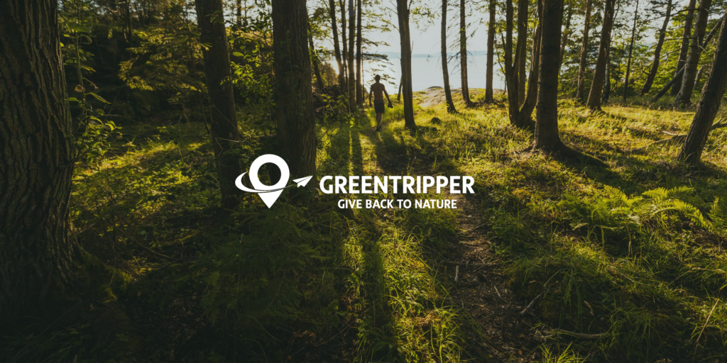 Compensation carbone chez Travelbase : une collaboration avec Greentripper